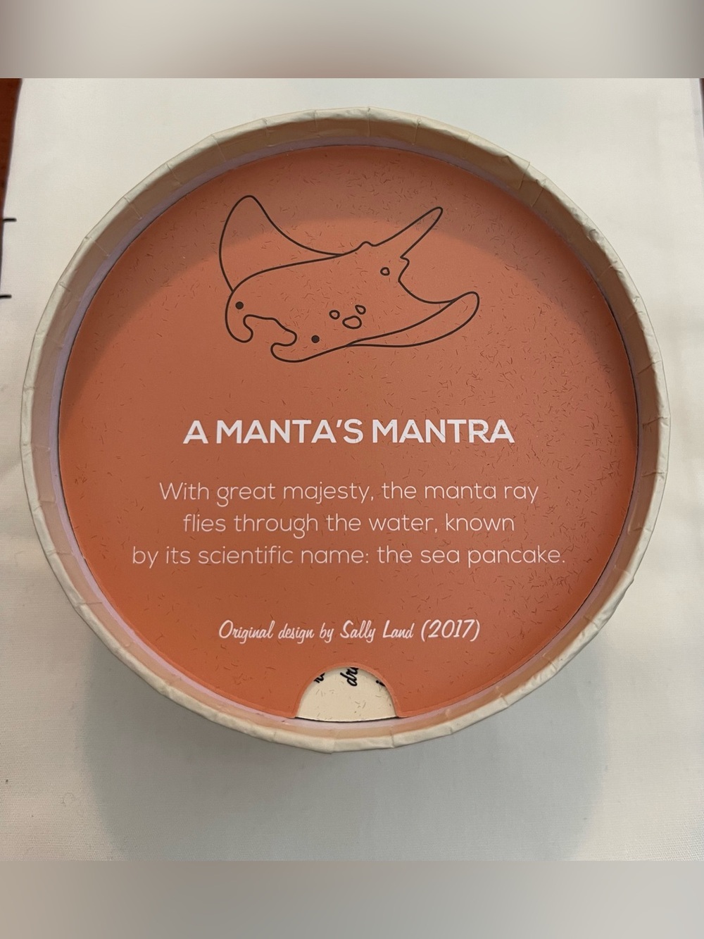 Erstwilder - A Manta’s Mantra - Stingray Manta Ray Brooch Pin - Picture 5 of 7